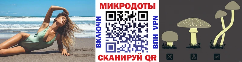 Галлюциногенные грибы мицелий  Купить закладки  Калининград 